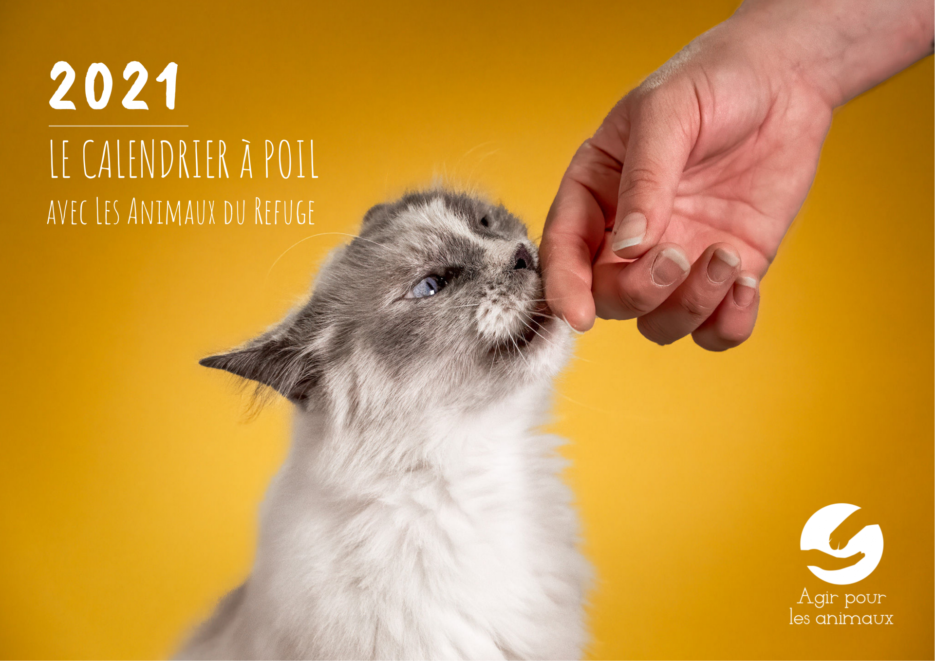 Association Agir Pour Les Animaux