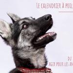 Calendrier
