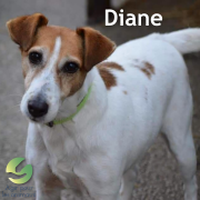 Diane 2