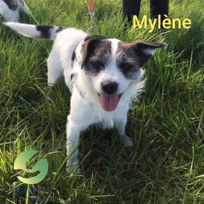 Mylene a parrainer