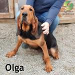 Olga