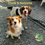 Truck et noisette 1