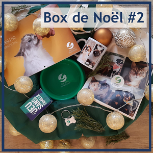 Box de noel 2