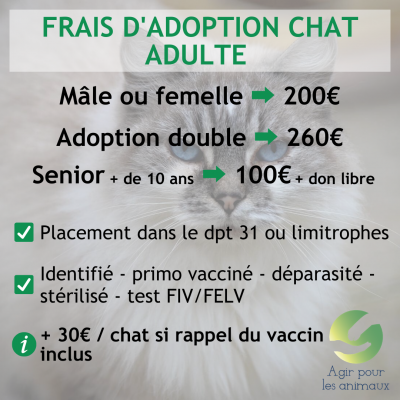 Frais adoption chat corrige