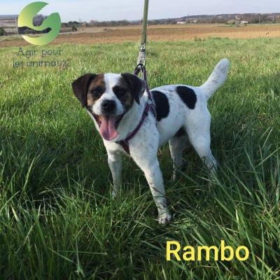 Rambo a parrainer